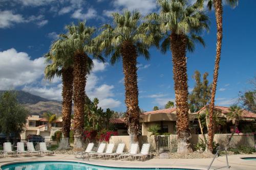 a resort with palm trees and chairs and a pool at The Oasis Resort in Palm Springs