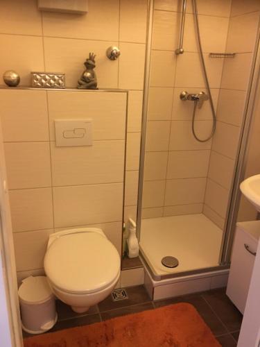 a small bathroom with a toilet and a shower at Ferienwohnung Heinrich ab 2 Nächte Buchung möglich 1Übernachtung ist nicht möglich in Altenau