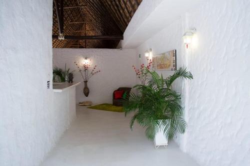 Φωτογραφία από το άλμπουμ του Hotel Boutique Yararaka σε Villavieja