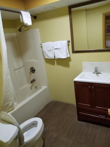 a bathroom with a toilet and a sink and a mirror at Budget Motel in Orlando