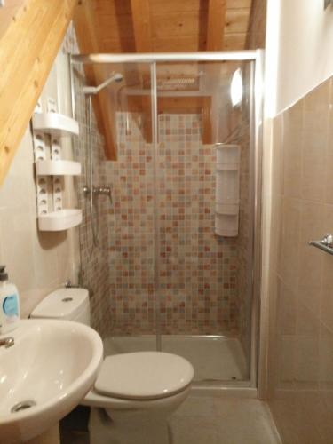 a bathroom with a shower with a toilet and a sink at Noelia Cazorla sierra in Arroyo Frio