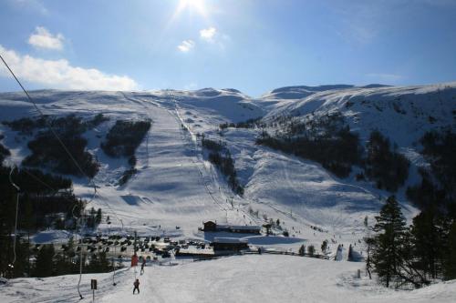 a group of people skiing down a snow covered mountain at Lemonsjøen-Jotunheimen-Besseggen in Stuttgongfossen