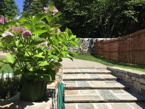 Zahrada ubytování Corte Villa Donati
