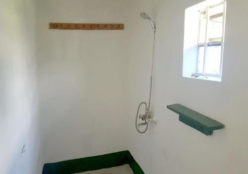 Uganda Lodge في Ruhanga: حمام مع حوض أخضر ونافذة