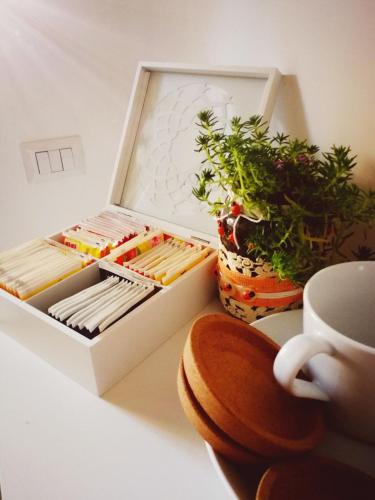 a white box with plants next to a cup of coffee at B&B JONIO Roma in Rome