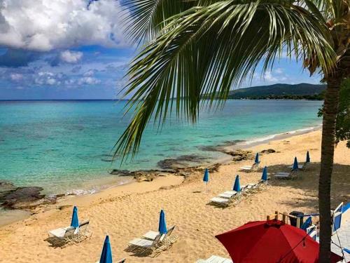 Sand Castle on the Beach - Adults Only في Frederiksted: شاطئ به كراسي ومظلات والمحيط