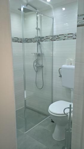 a bathroom with a glass shower with a toilet at Széchenyi Apartman Miskolc belvárosban in Miskolc