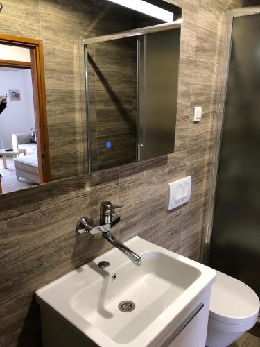 a bathroom with a sink and a mirror and a toilet at Apartmani Cupic in Budva