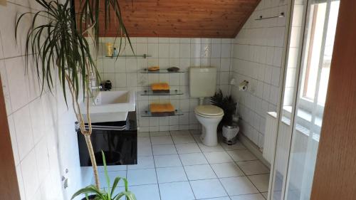 a white bathroom with a toilet and a sink at Elbhangzimmer Dresden in Dresden
