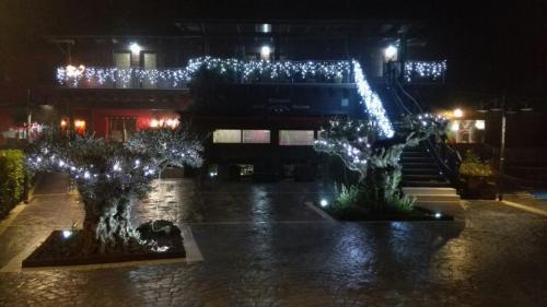 two trees with lights in a courtyard at night at Hotel Il Dito e la Luna in Ripa Teatina
