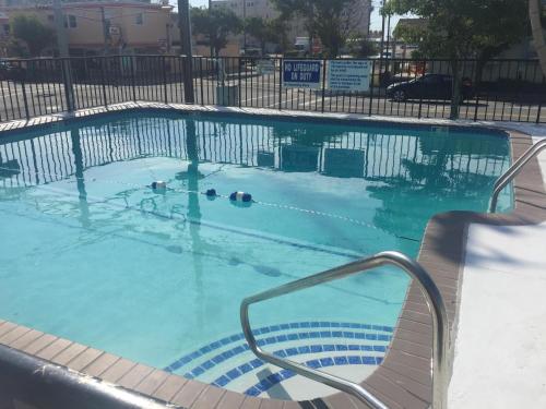 a large swimming pool with a chair in it at Surfcomber Motel in Wildwood