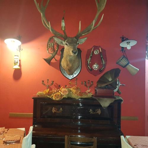 a wall with a deer head on a wall at Hotel Il Dito e la Luna in Ripa Teatina