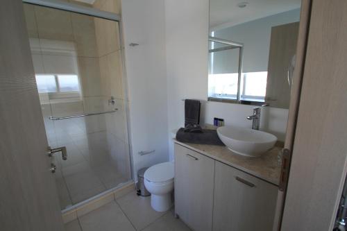 een badkamer met een wastafel, een toilet en een douche bij Boutique Apartment Downtown 1506 in Mexico-Stad