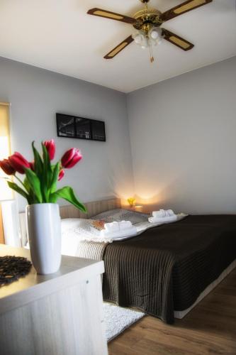 a bedroom with a bed and a ceiling fan at Pokoje Staromiejski in Uniejow