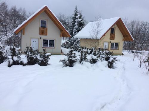 a house covered in snow with trees in front of it at Domki nad stawem. in Polańczyk