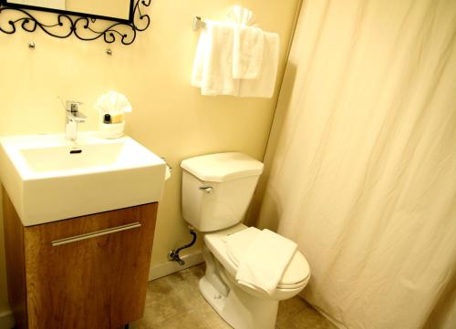 a bathroom with a white toilet and a sink at Hotel Squamish in Squamish