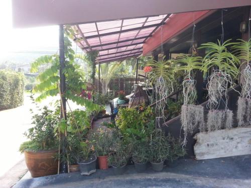 Taman di luar Mountain View resort