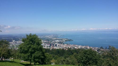 a view of a city and the water from a hill at Haus Basilea in Wolfhalden 