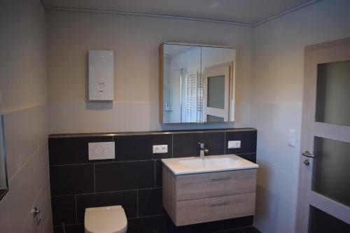 a bathroom with a sink and a toilet and a mirror at Altes Haus in Sevenig