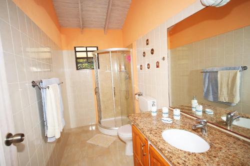 a bathroom with a shower and a sink and a toilet at Eumelvilla in Saint James