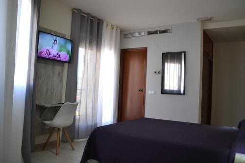 a bedroom with a bed and a tv on the wall at Hotel Congra in Pilar de la Horadada