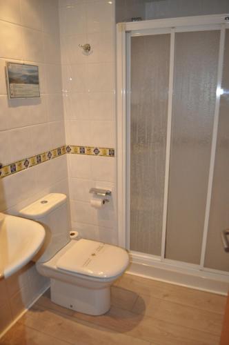 a bathroom with a toilet and a shower at Hotel Sanchez in Aínsa