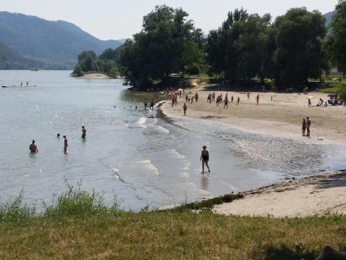 a group of people playing in the water at a beach at Donauwirt - Hotel garni in Weissenkirchen in der Wachau