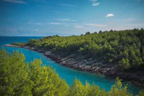an island in the middle of a river at Villa Rosa in Vrboska