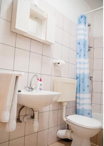 a bathroom with a toilet and a sink at Apartments Vulić in Omiš