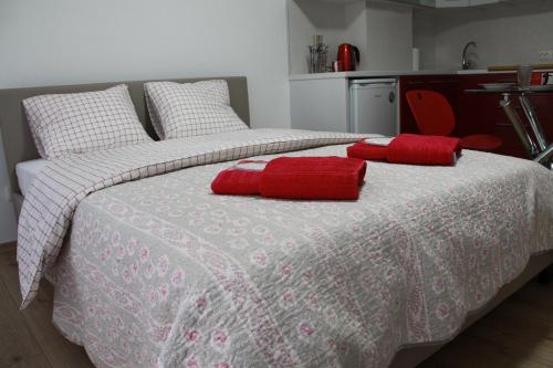 The New Studio Suite Near Akropolis