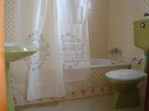 uma casa de banho com um WC e uma cortina de chuveiro em Casa Furt@do em Burgau