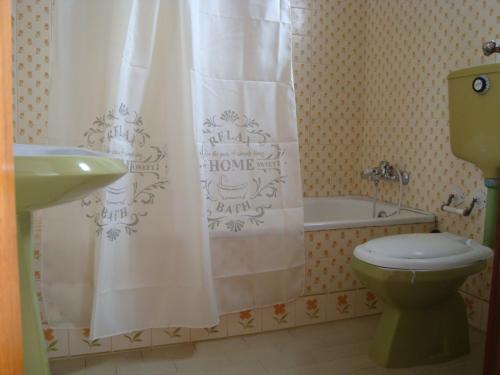 a bathroom with a toilet and a shower curtain at Casa Furt@do in Burgau