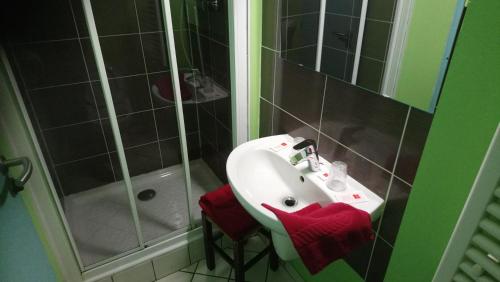 a bathroom with a white sink and a shower at Hotel de la Poste in Saint-Claude