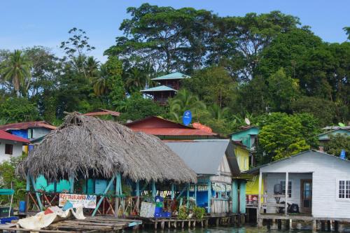 Gallery image of Casa Basti-Hill in Bocas Town