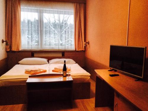 a small room with a bed and a window at Hotel Annahof in Domašov