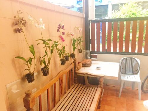 um quarto com um banco com vasos de plantas na parede em Stay Hostel em Bangkok