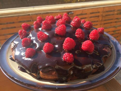 a chocolate cake with raspberries on top on a plate at Green Stone Boutique Hotel in Yeghegnadzor