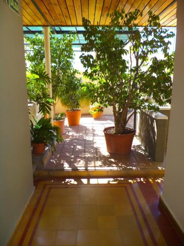 Zahrada ubytování Cordoba Yolanda Hotel