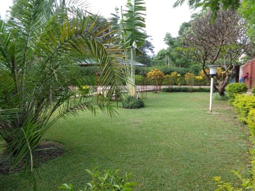 a garden with a palm tree and a street light at The Clarice House in Kisumu