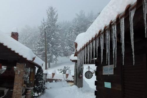 a house covered in snow with trees in the background at Traditional Guesthouse in Tríkala