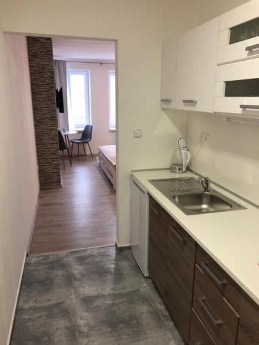 Kuchyň nebo kuchyňský kout v ubytování Apartmán U Zlaté hroudy