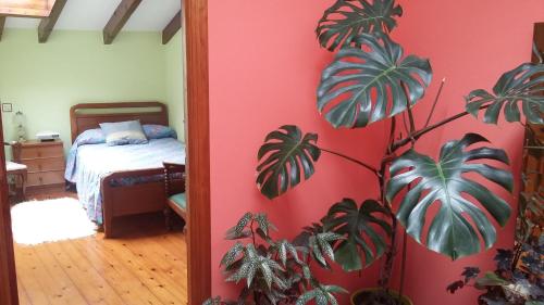 a bedroom with a pink wall with a plant at Casa Llorente in Meré