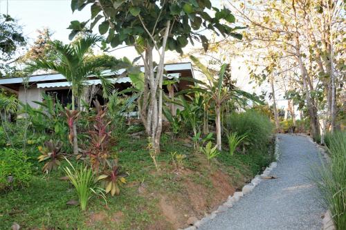 a garden with trees and a house and a path at Lodge Margouillat in Tambor