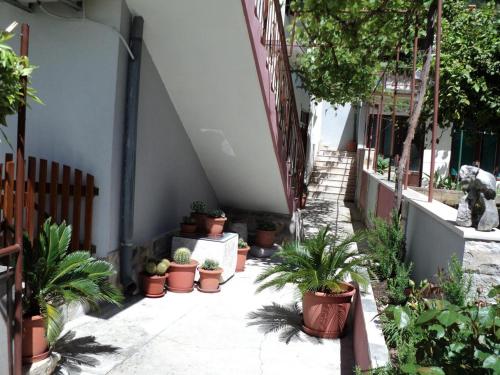 Apartment Jelsa 14754c – Photos 2