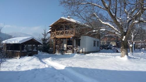 a log cabin in the snow with a tree at Guest House Plai in Yaremche
