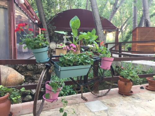 AlboracheにあるMolino Galánのギャラリーの写真