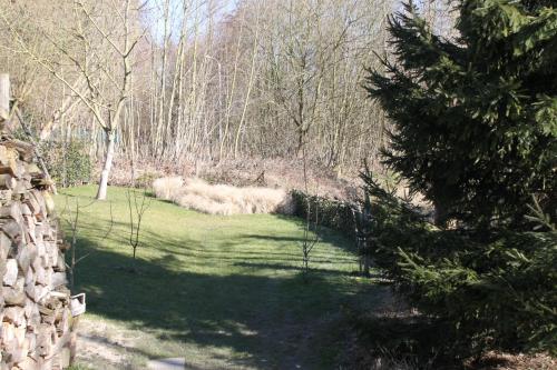 a group of sheep walking in a field with trees at Logies Tommenmolen in Grimbergen