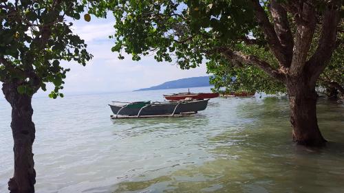 a boat sitting in the water next to a tree at Sofias House Rental in Tagbilaran City
