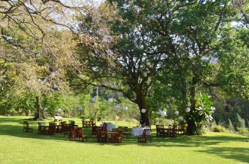 a group of tables and chairs under a tree at Moholoholo Ya Mati in Kampersrus AH