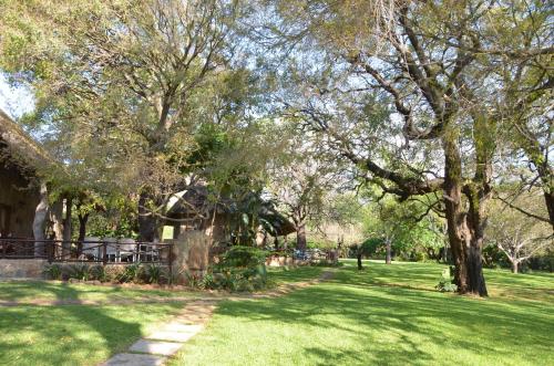 a path through a park with trees and grass at Moholoholo Ya Mati in Kampersrus AH